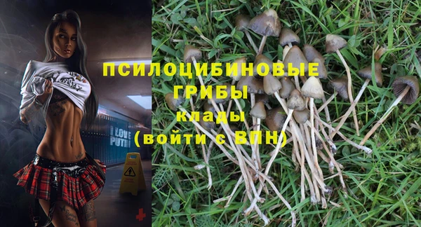 каннабис Алзамай