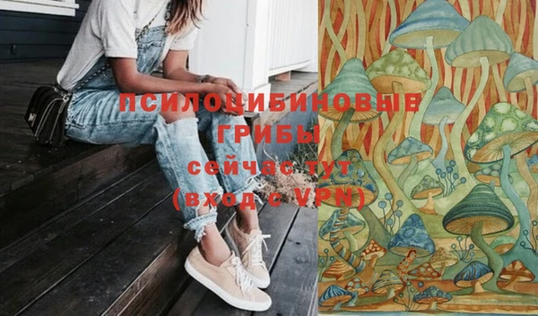 2c-b Алексин