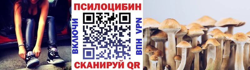 сайты даркнета официальный сайт Тольятти Галлюциногенные грибы MAGIC MUSHROOMS